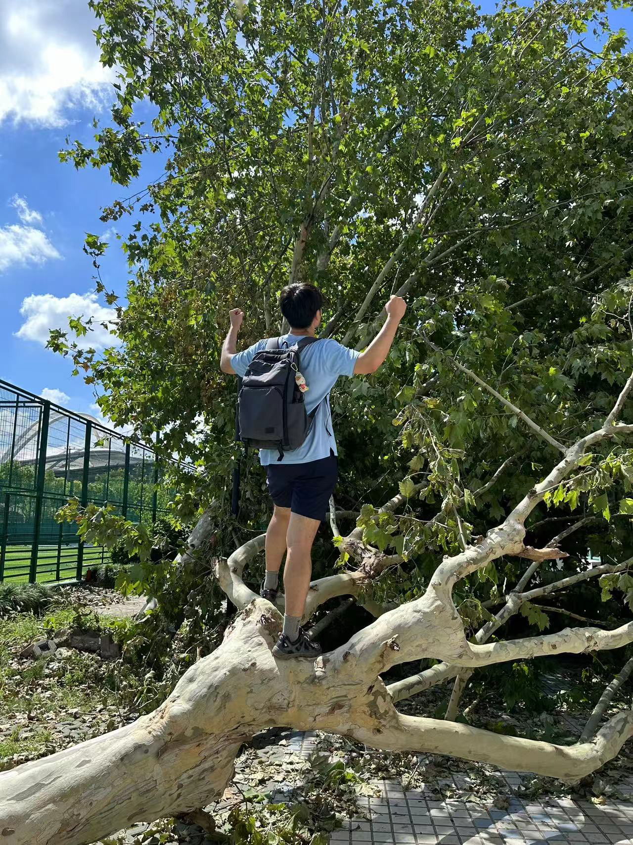 image-20240930200637313