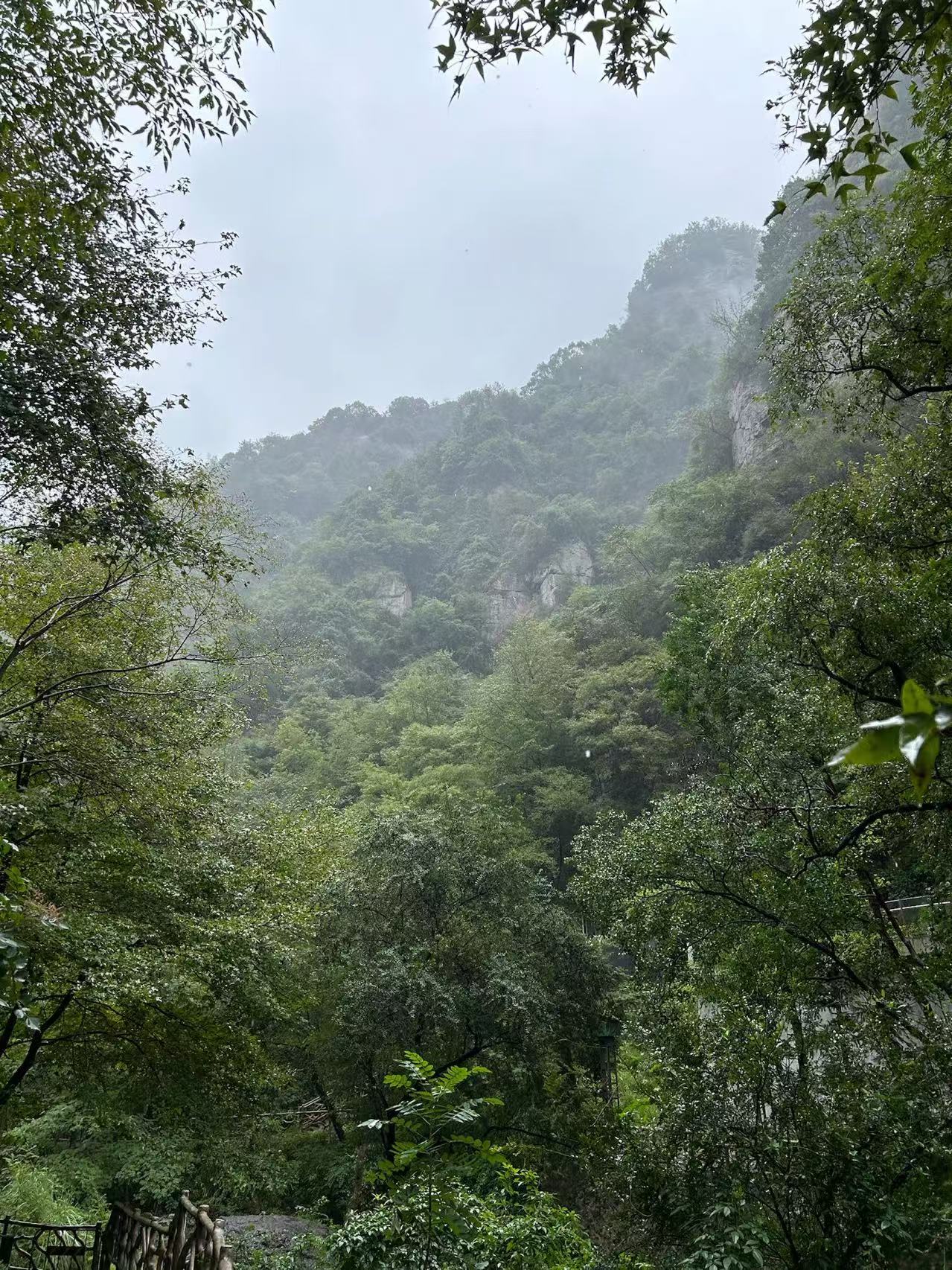 f3772005bae6badc16c724c4efab18c