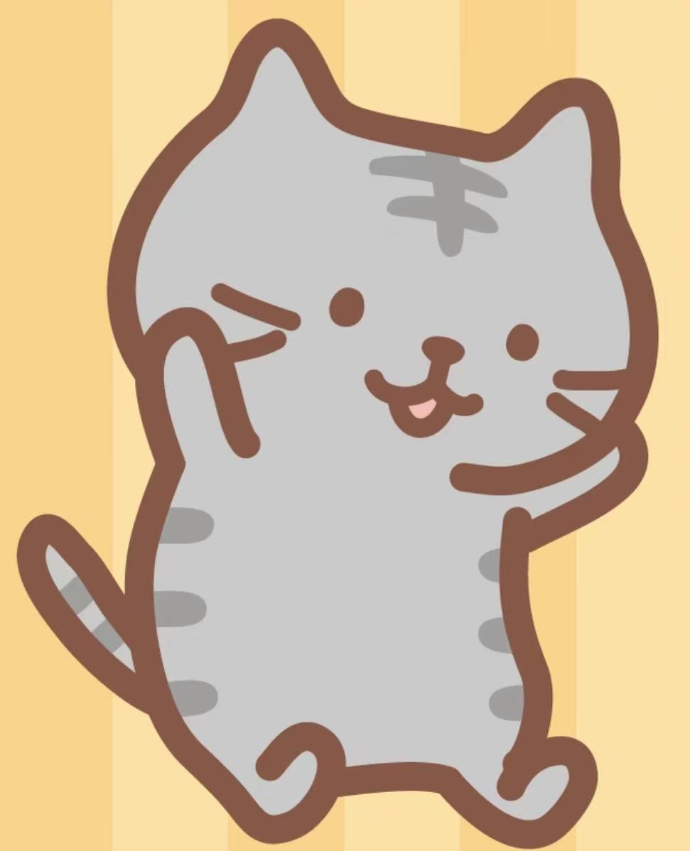 欢迎新成员面包猫！