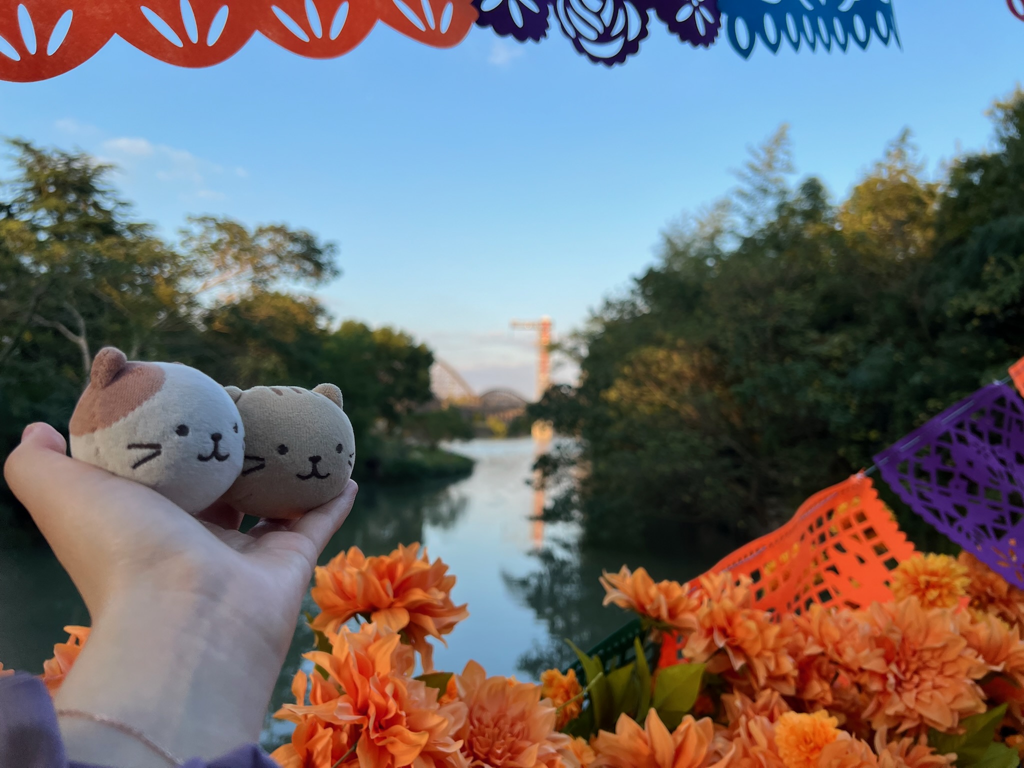 cover of previous post