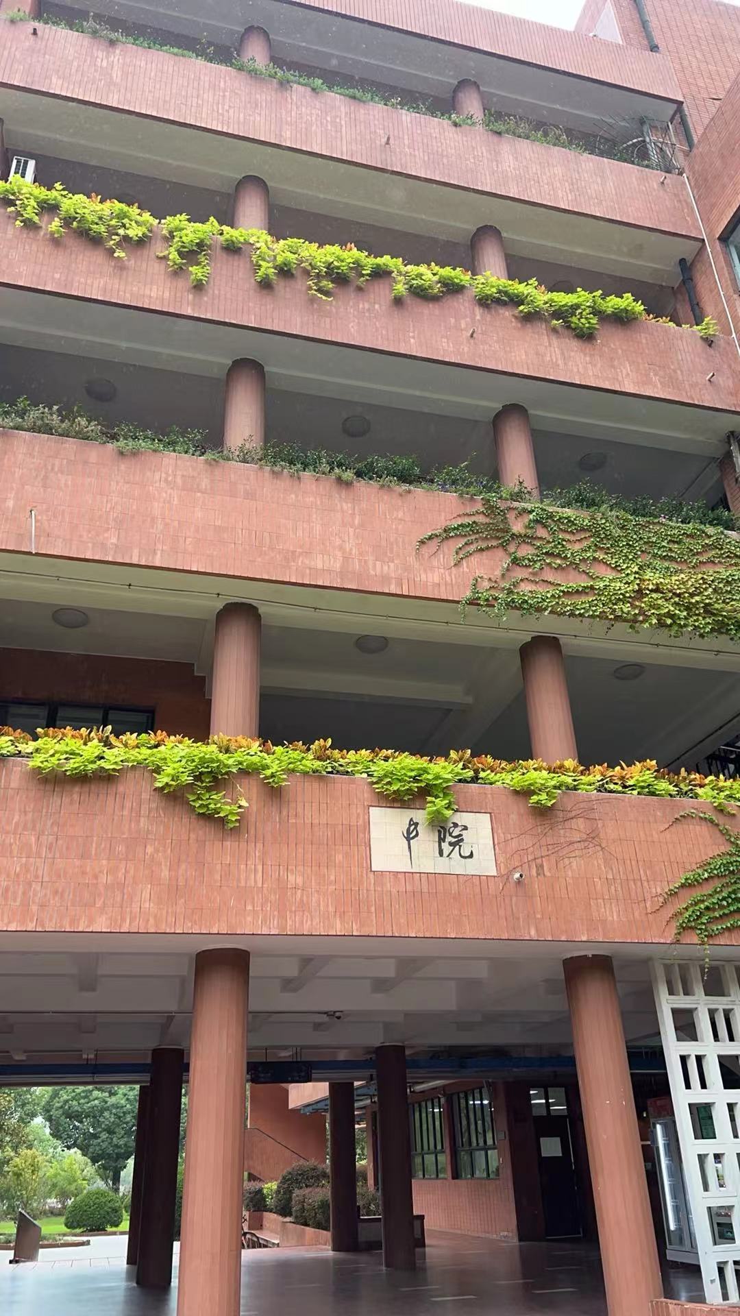 猫猫推免之路：上岸后的回忆